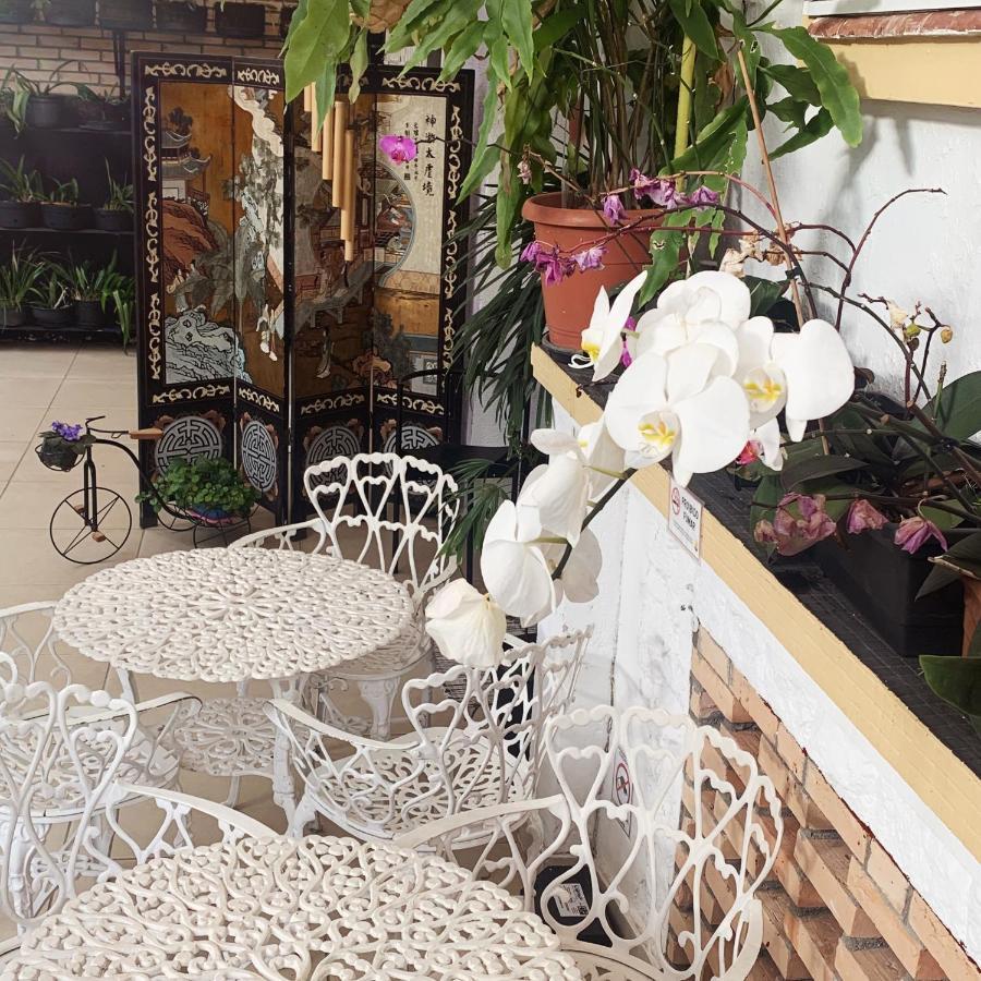 Ipe Hostal São Paulo