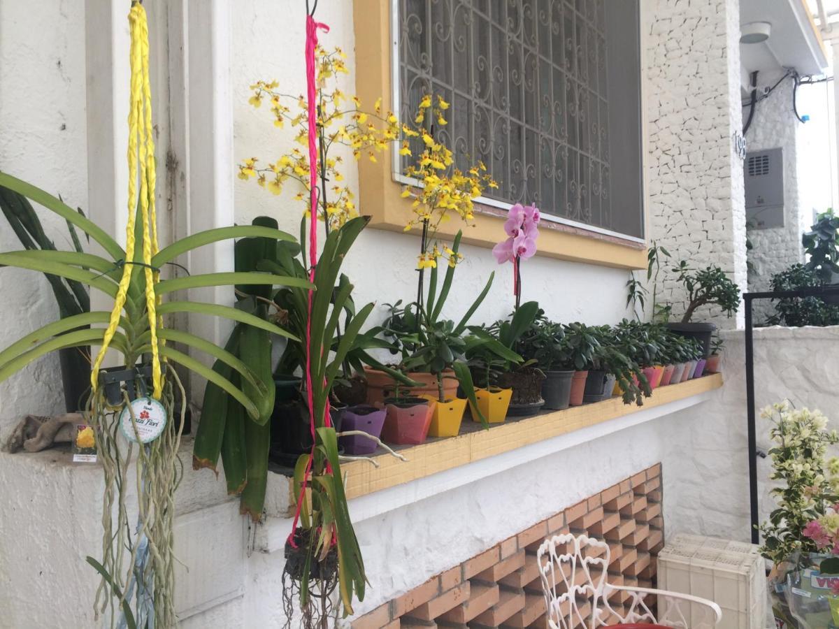Ipe Hostal